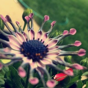 Meet your Posher, Logan